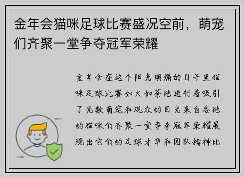 金年会猫咪足球比赛盛况空前，萌宠们齐聚一堂争夺冠军荣耀